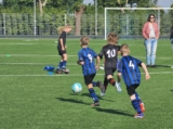 S.K.N.W.K. JO8-1 - M.Z.C. '11 JO8-3 (competitie) 2024-2025 (4e fase) (14/109)